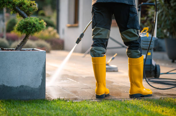 Best Pressure Washing Near Me  in Youngstown, OH